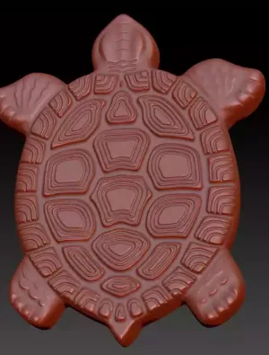  Turtle 