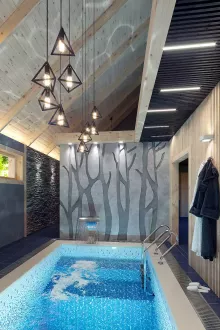 Визуализация сауны с бассейном